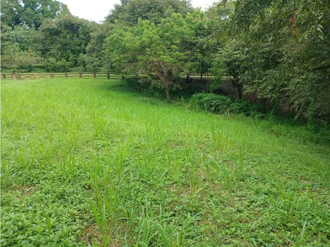 LAS LAGARTIJAS / SAN CARLOS / 3000 M2 / CERCA DE RIO / ZONAS VERDES