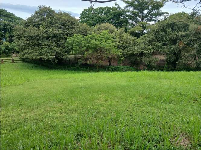 LAS LAGARTIJAS / SAN CARLOS / 3000 M2 / CERCA DE RIO / ZONAS VERDES
