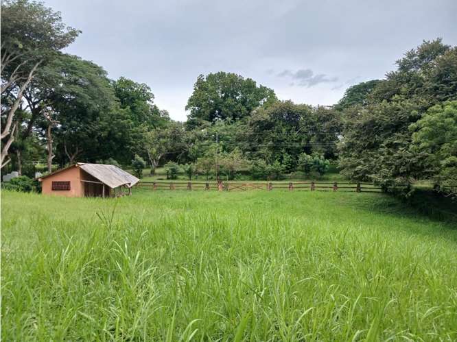 LAS LAGARTIJAS / SAN CARLOS / 3000 M2 / CERCA DE RIO / ZONAS VERDES