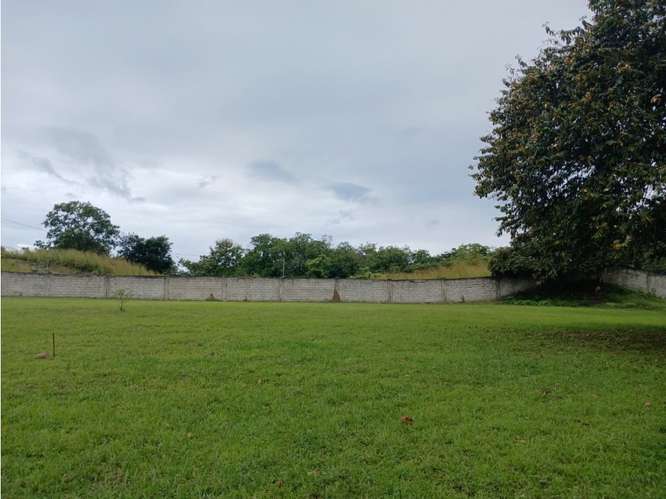 SE VENDE TERRENO 30000 M3 EN SAN JOSE SAN CARLOS  COLINDA CON RIO - Imagen 12