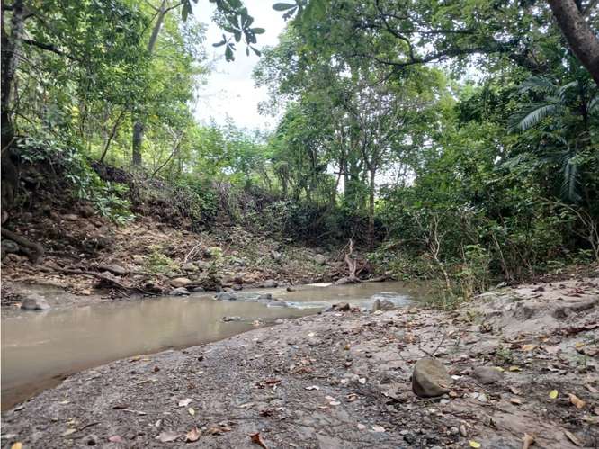 SE VENDE TERRENO 30000 M3 EN SAN JOSE SAN CARLOS  COLINDA CON RIO - Imagen 20