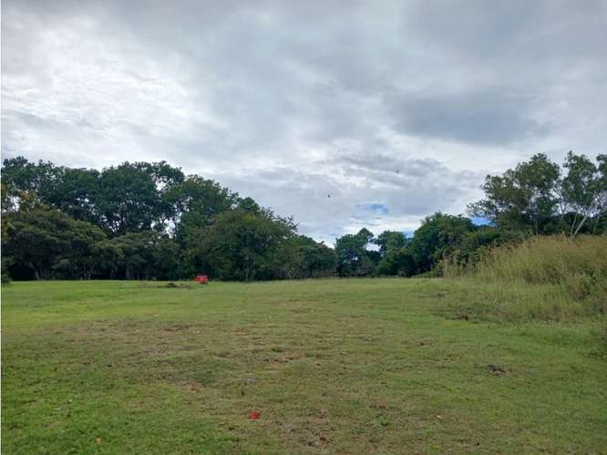 SAN JOSE / SAN CARLOS / 30000 M2 / COLINDA CON RIO / ZONAS VERDES - Imagen 9