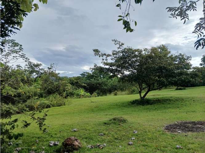 SAN JOSE / SAN CARLOS / 30000 M2 / COLINDA CON RIO / ZONAS VERDES - Imagen 13