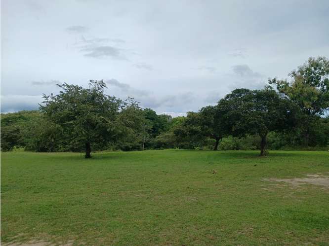 SAN JOSE / SAN CARLOS / 30000 M2 / COLINDA CON RIO / ZONAS VERDES