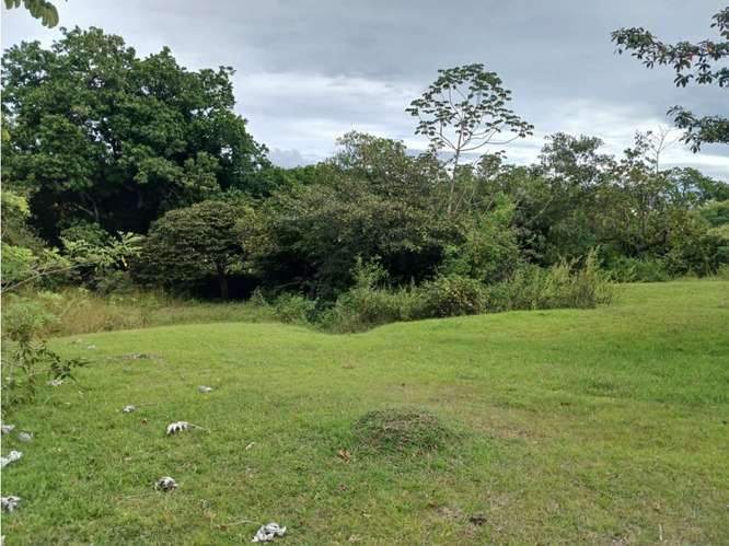 SAN JOSE / SAN CARLOS / 30000 M2 / COLINDA CON RIO / ZONAS VERDES