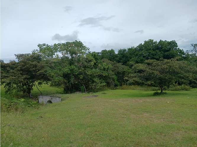 SAN JOSE / SAN CARLOS / 30000 M2 / COLINDA CON RIO / ZONAS VERDES