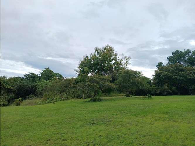 SAN JOSE / SAN CARLOS / 30000 M2 / COLINDA CON RIO / ZONAS VERDES