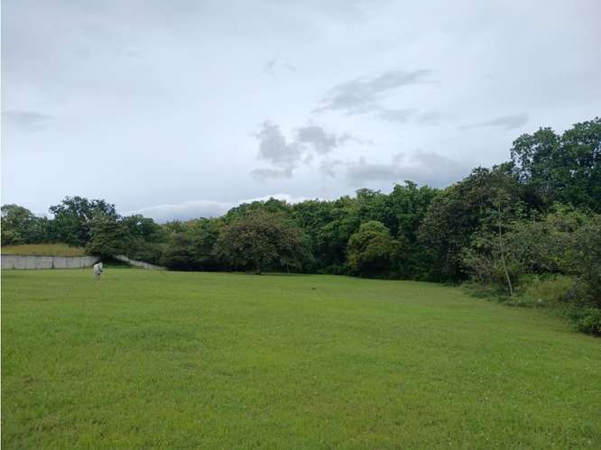 SAN JOSE / SAN CARLOS / 30000 M2 / COLINDA CON RIO / ZONAS VERDES