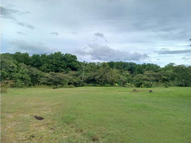 SAN JOSE / SAN CARLOS / 30000 M2 / COLINDA CON RIO / ZONAS VERDES