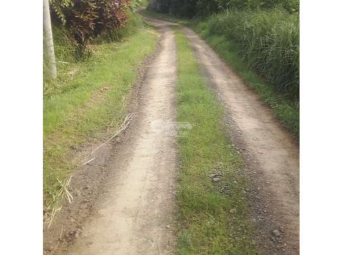 SE VENDE AMPLIO TERRENO 5 HECTAREAS EN PEDASI SOBRE VIA PRINCIPAL - Imagen 14