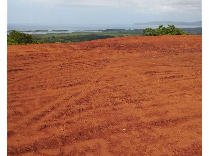 SE VENDE AMPLIO TERRENO 5 HECTAREAS EN PEDASI SOBRE VIA PRINCIPAL - Imagen 2