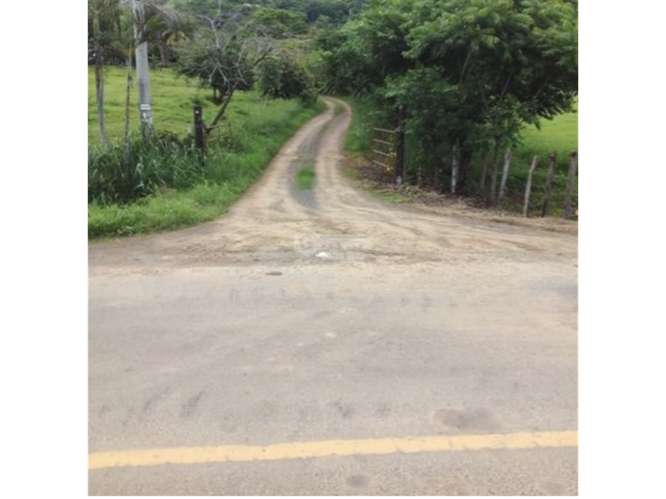 SE VENDE AMPLIO TERRENO 5 HECTAREAS EN PEDASI SOBRE VIA PRINCIPAL - Imagen 15
