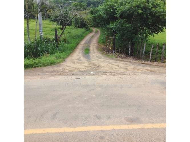 SE VENDE AMPLIO TERRENO 5 HECTAREAS EN PEDASI SOBRE VIA PRINCIPAL - Imagen 3