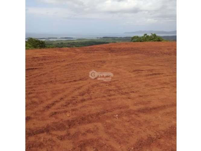 SE VENDE AMPLIO TERRENO 5 HECTAREAS EN PEDASI SOBRE VIA PRINCIPAL - Imagen 12