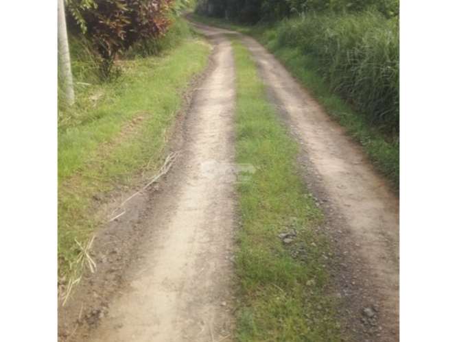 SE VENDE AMPLIO TERRENO 5 HECTAREAS EN PEDASI SOBRE VIA PRINCIPAL - Imagen 19