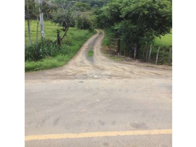 PEDASI / 5 HECTAREAS / ZONAS VERDES / TERRENO / SOBRE VIA PRINCIPAL - Imagen 5