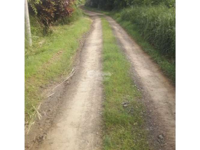 PEDASI / 5 HECTAREAS / ZONAS VERDES / TERRENO / SOBRE VIA PRINCIPAL - Imagen 16