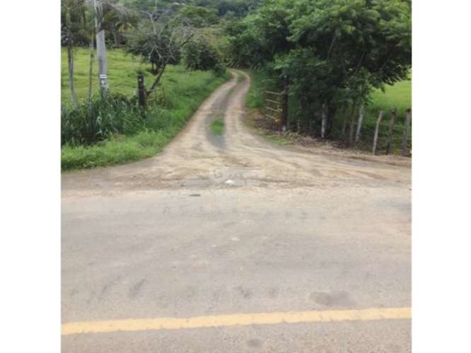 PEDASI / 5 HECTAREAS / ZONAS VERDES / TERRENO / SOBRE VIA PRINCIPAL - Imagen 18