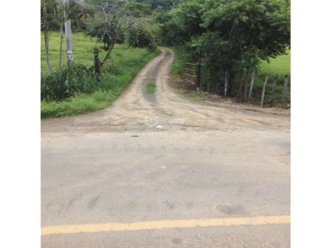 PEDASI / 5 HECTAREAS / ZONAS VERDES / TERRENO / SOBRE VIA PRINCIPAL - Imagen 9
