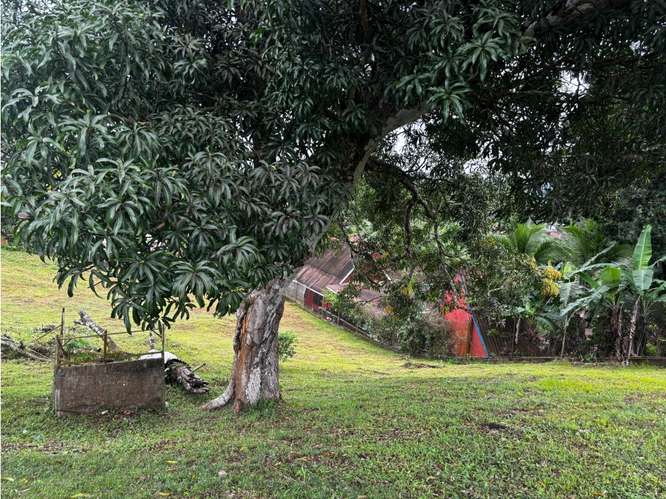SE VENDE TERRENO 1300M EN VILLA ZAITA  SEMI PLANO IDEAL PARA INVERSION