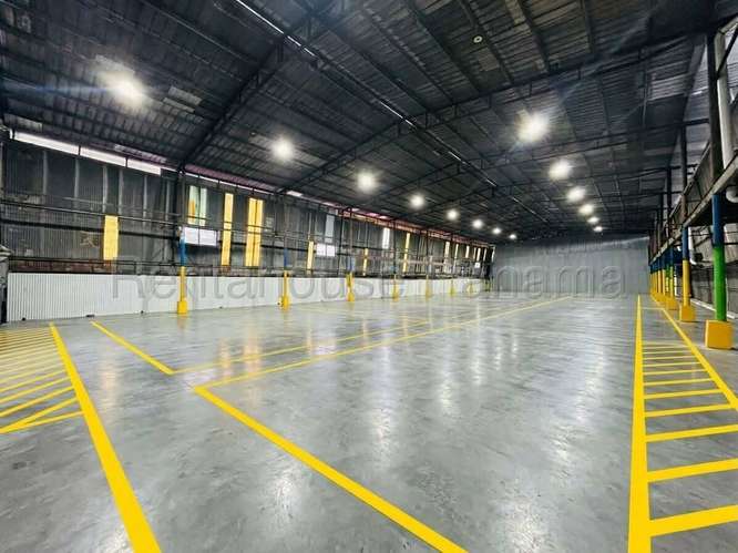 Alquiler de Galera en Betania (Solo Cliente Directo) - Imagen 5