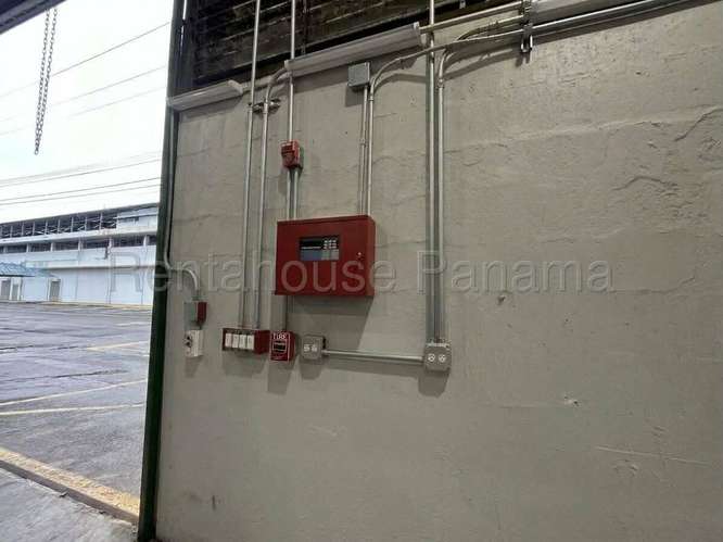 Alquiler de Galera en Betania (Solo Cliente Directo) - Imagen 7