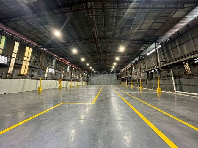 Alquiler de Galera en Betania (Solo Cliente Directo) - Imagen 4