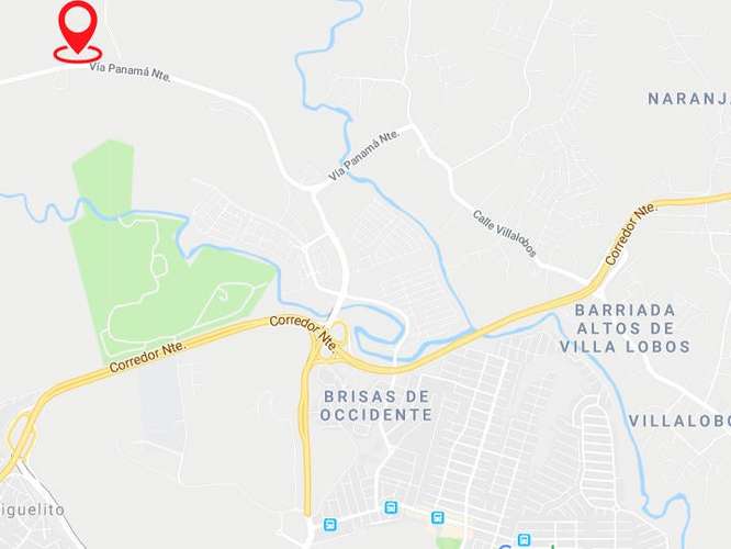 Vendo Terreno de 10,000m2 en Panama Norte 23-6391SRZ