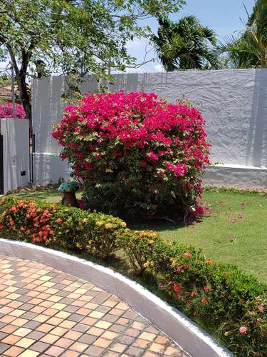 Coronado. Calles Los Jobos. 800 m 3r 3.5b Piscina $401,000