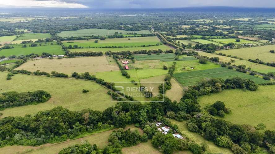 Finca en Chiriqui, Alanje, 104.6 hectáreas en Canta Gallo - Imagen 6