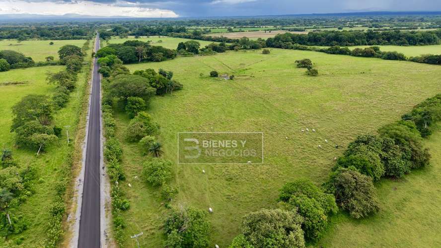 Finca en Chiriqui, Alanje, 104.6 hectáreas en Canta Gallo - Imagen 4