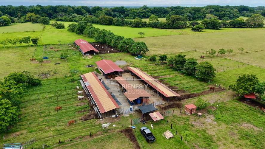Finca en Chiriqui, Alanje, 104.6 hectáreas en Canta Gallo - Imagen 17