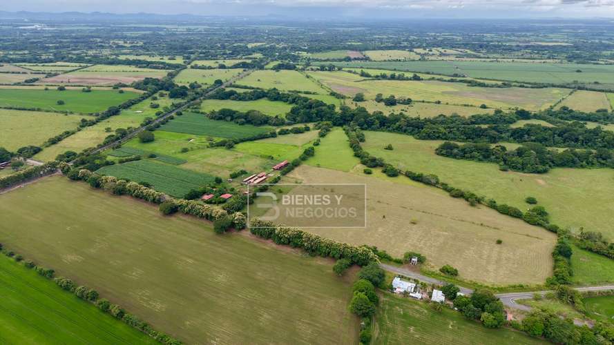 Finca en Chiriqui, Alanje, 104.6 hectáreas en Canta Gallo - Imagen 2