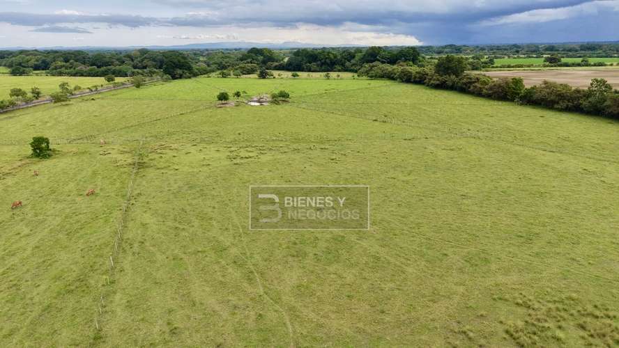 Finca en Chiriqui, Alanje, 104.6 hectáreas en Canta Gallo - Imagen 8