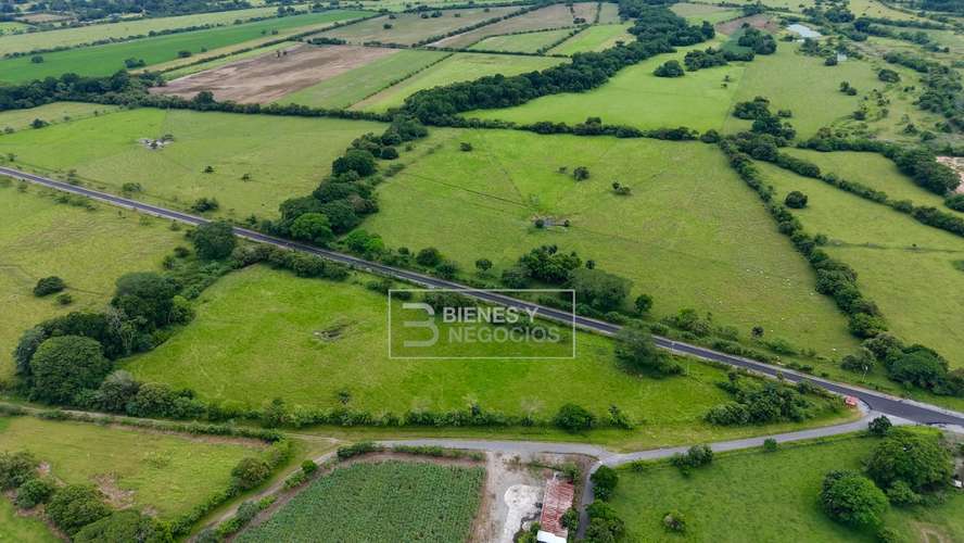 Finca en Chiriqui, Alanje, 104.6 hectáreas en Canta Gallo - Imagen 5