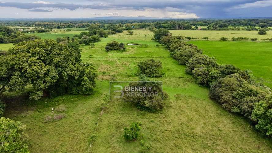 Finca en Chiriqui, Alanje, 104.6 hectáreas en Canta Gallo - Imagen 9