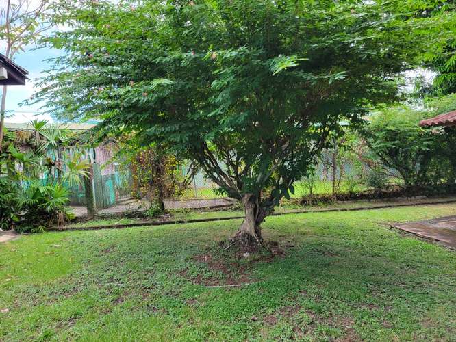Venta de Casa para Renovar en Altos del Golf | DG - Imagen 16