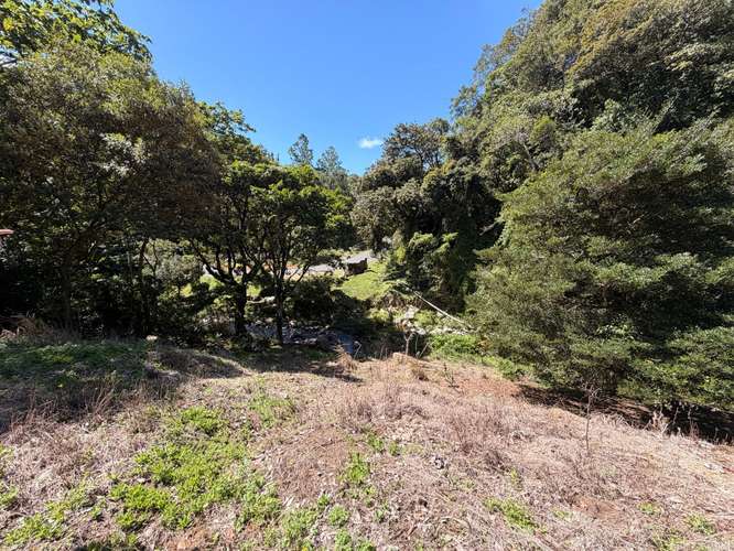 Propiedad Premium con Quebrada de Agua Viva Todo el Año y Vistas a Dos Cascadas | Palmira, Boquete