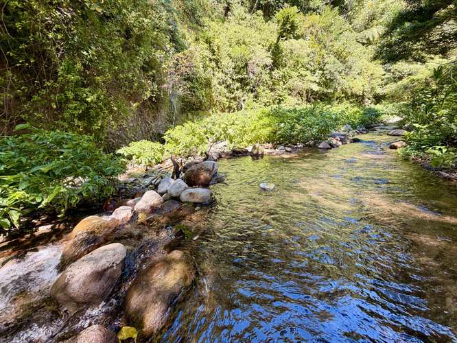 Propiedad Premium con Quebrada de Agua Viva Todo el Año y Vistas a Dos Cascadas | Palmira, Boquete