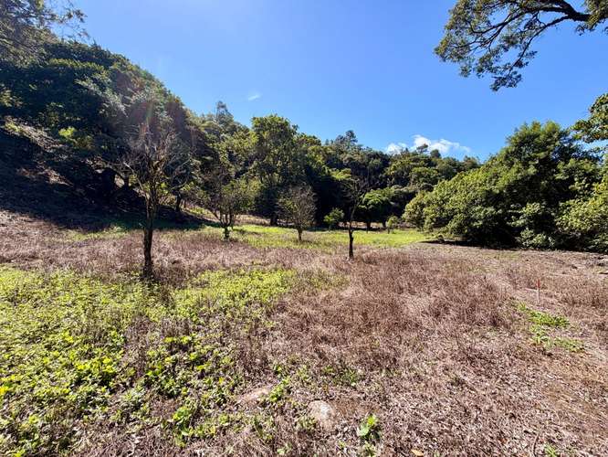 Propiedad Premium con Quebrada de Agua Viva Todo el Año y Vistas a Dos Cascadas | Palmira, Boquete