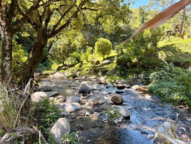 Propiedad Premium con Quebrada de Agua Viva Todo el Año y Vistas a Dos Cascadas | Palmira, Boquete