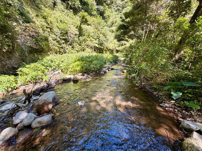 Propiedad Premium con Quebrada de Agua Viva Todo el Año y Vistas a Dos Cascadas | Palmira, Boquete