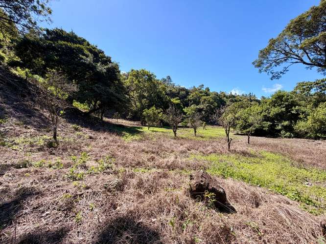Propiedad Premium con Quebrada de Agua Viva Todo el Año y Vistas a Dos Cascadas | Palmira, Boquete