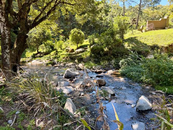 Propiedad Premium con Quebrada de Agua Viva Todo el Año y Vistas a Dos Cascadas | Palmira, Boquete