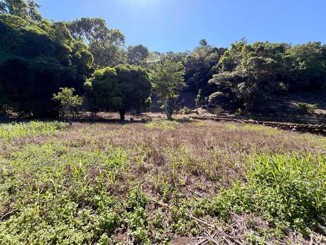 Propiedad Premium con Quebrada de Agua Viva Todo el Año y Vistas a Dos Cascadas | Palmira, Boquete