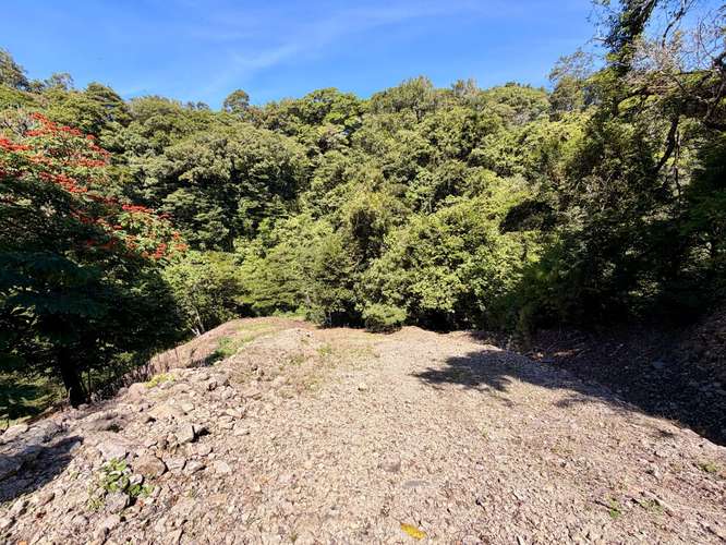 Propiedad Premium con Quebrada de Agua Viva Todo el Año y Vistas a Dos Cascadas | Palmira, Boquete