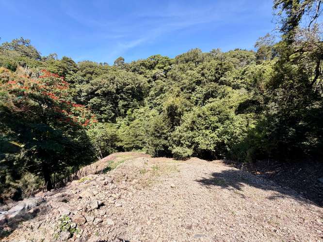 Propiedad Premium con Quebrada de Agua Viva Todo el Año y Vistas a Dos Cascadas | Palmira, Boquete