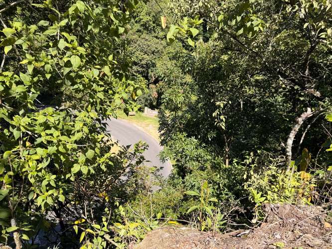 Propiedad Premium con Quebrada de Agua Viva Todo el Año y Vistas a Dos Cascadas | Palmira, Boquete