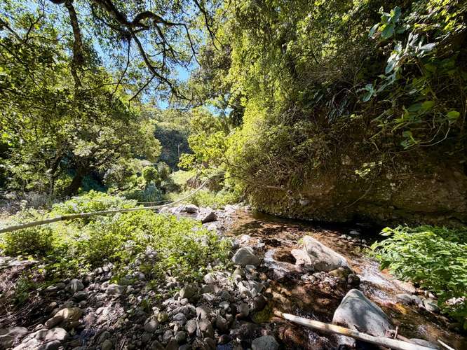 Propiedad Premium con Quebrada de Agua Viva Todo el Año y Vistas a Dos Cascadas | Palmira, Boquete