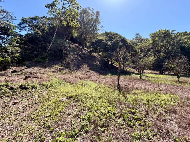 Propiedad Premium con Quebrada de Agua Viva Todo el Año y Vistas a Dos Cascadas | Palmira, Boquete